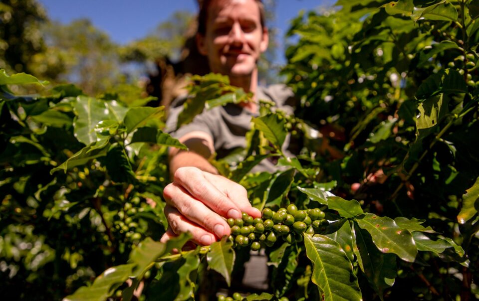 Coffee Tour Manuel Antonio | Hotel Igloo Beach Lodge Costa Rica