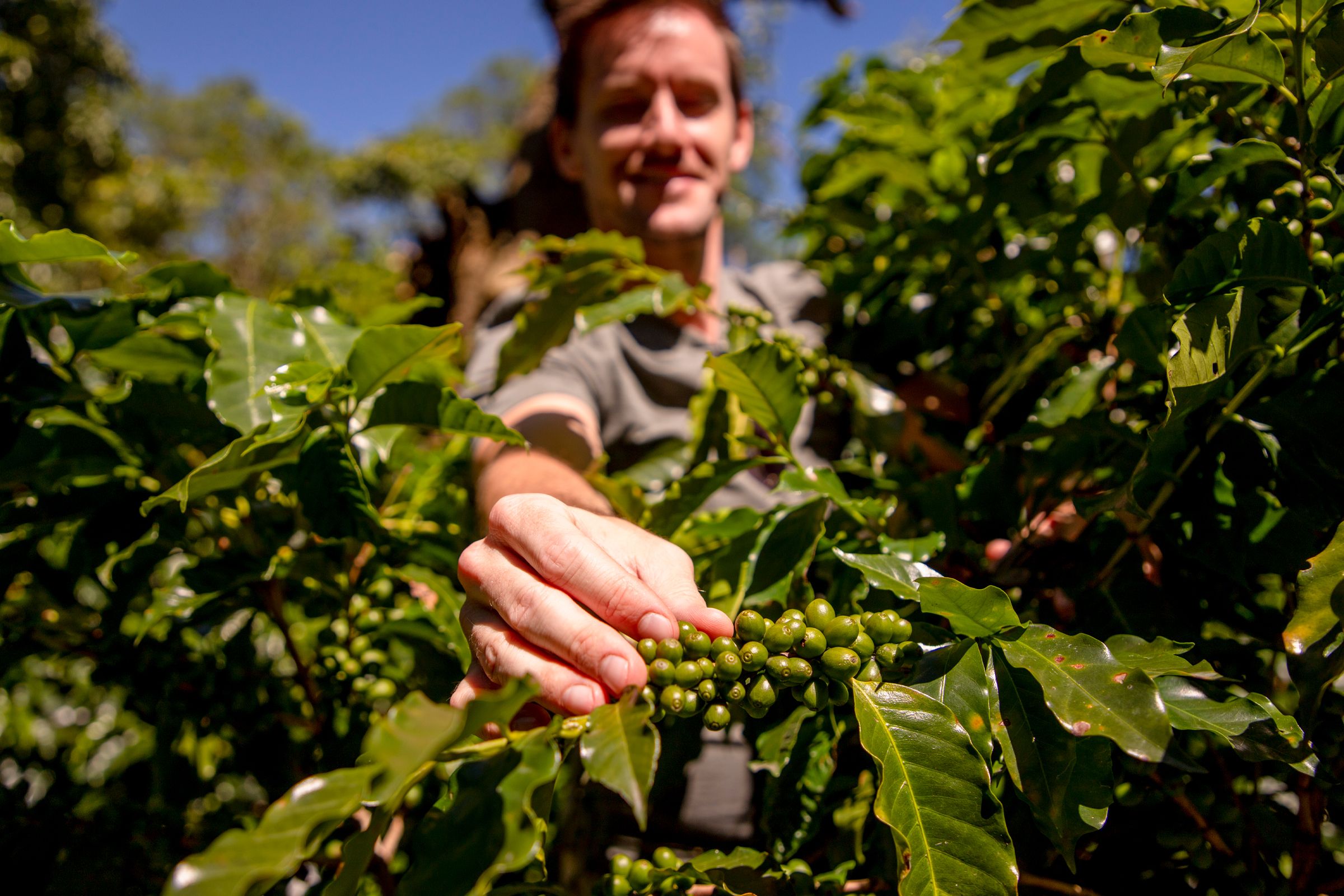 Coffee Tour Manuel Antonio | Hotel Igloo Beach Lodge Costa Rica