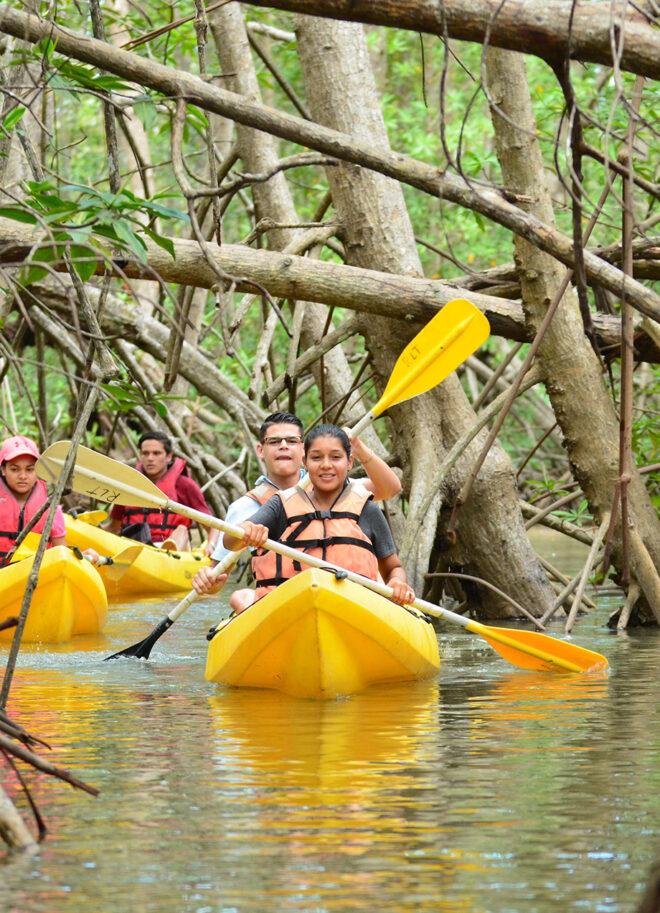 Mangrove Tour | Igloo Beach Lodge Hotel in Costa Rica