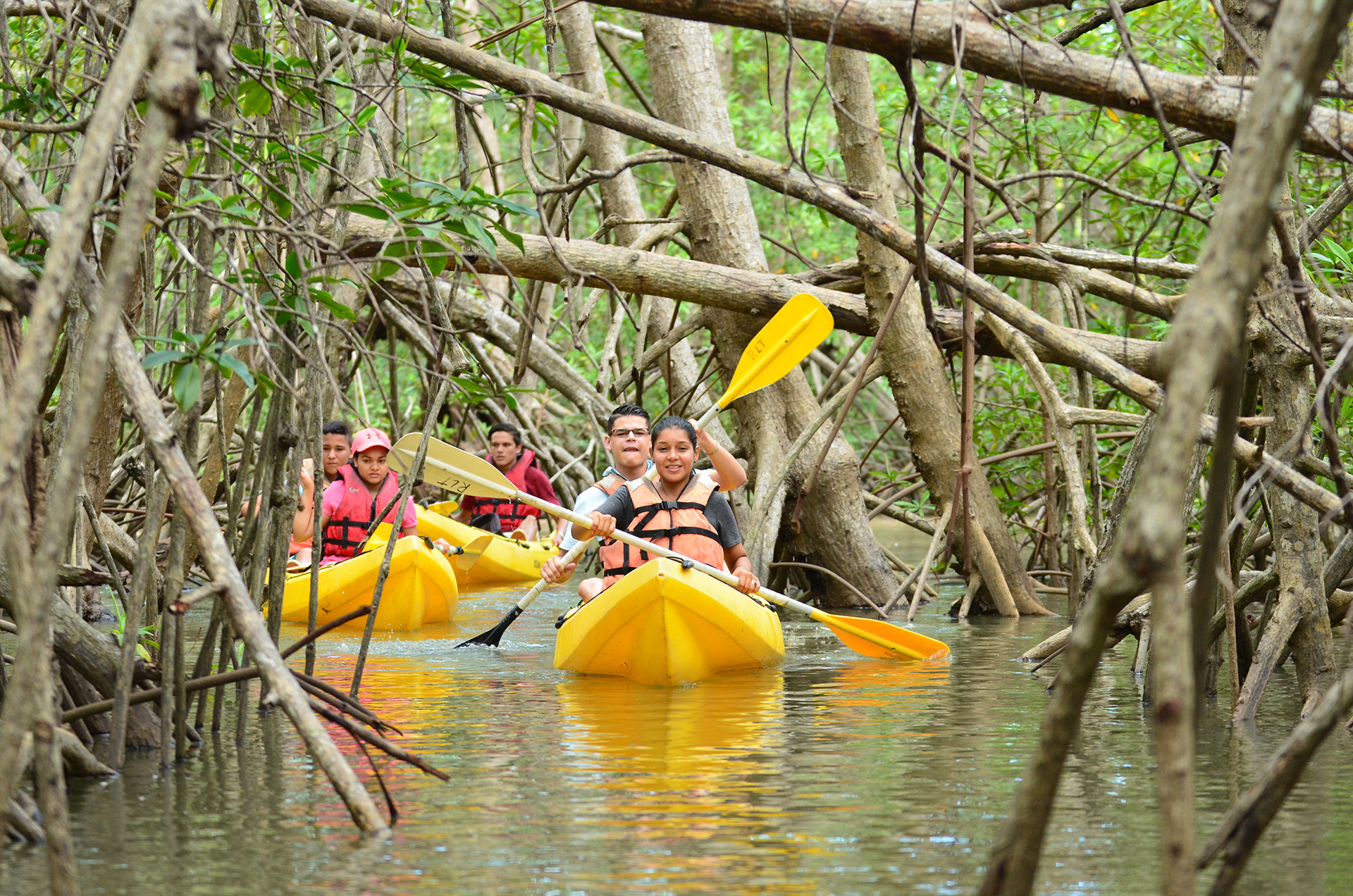 Mangrove Tour | Igloo Beach Lodge Hotel in Costa Rica