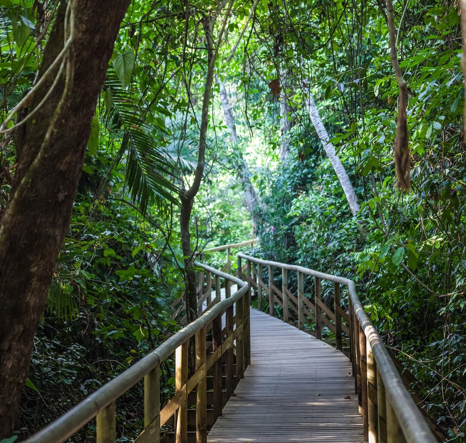 Manuel Antonio National Park Tour | Igloo Beach Lodge Hotel in Costa Rica