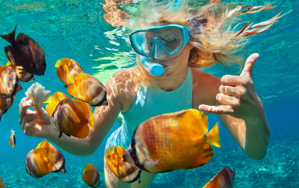 Snorkeling Tour Manuel Antonio | Beachfront Hotel Igloo Beach Lodge Costa Rica
