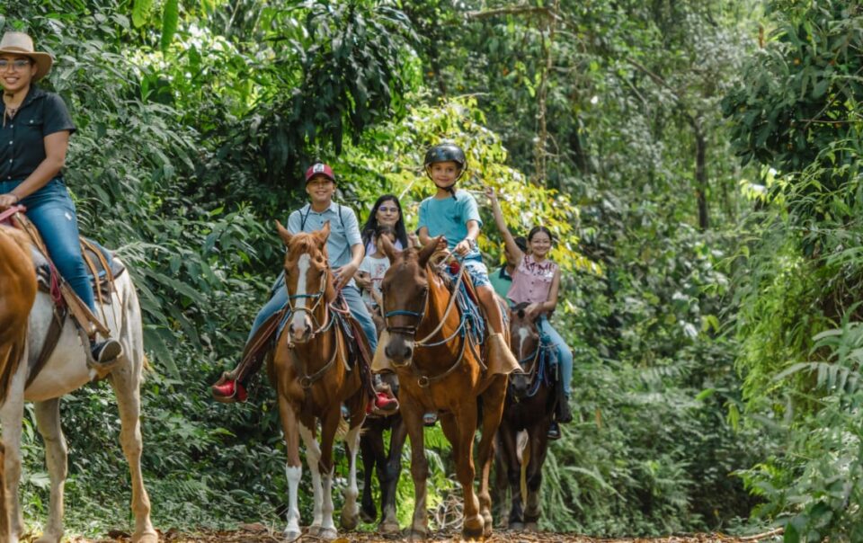 Horseback Riding Tour | Igloo Beach Lodge Manuel Antonio