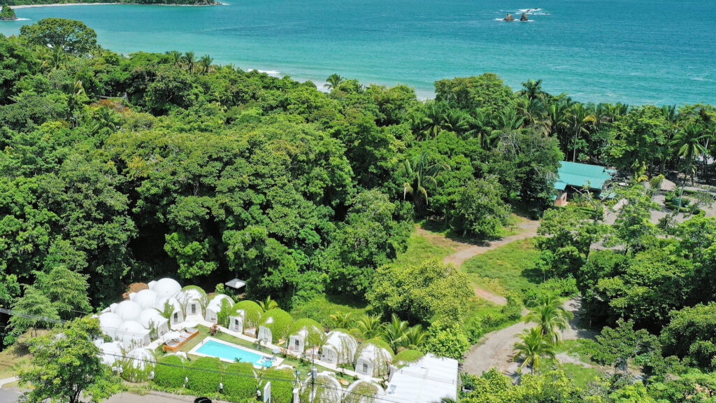 Manuel Antonio area